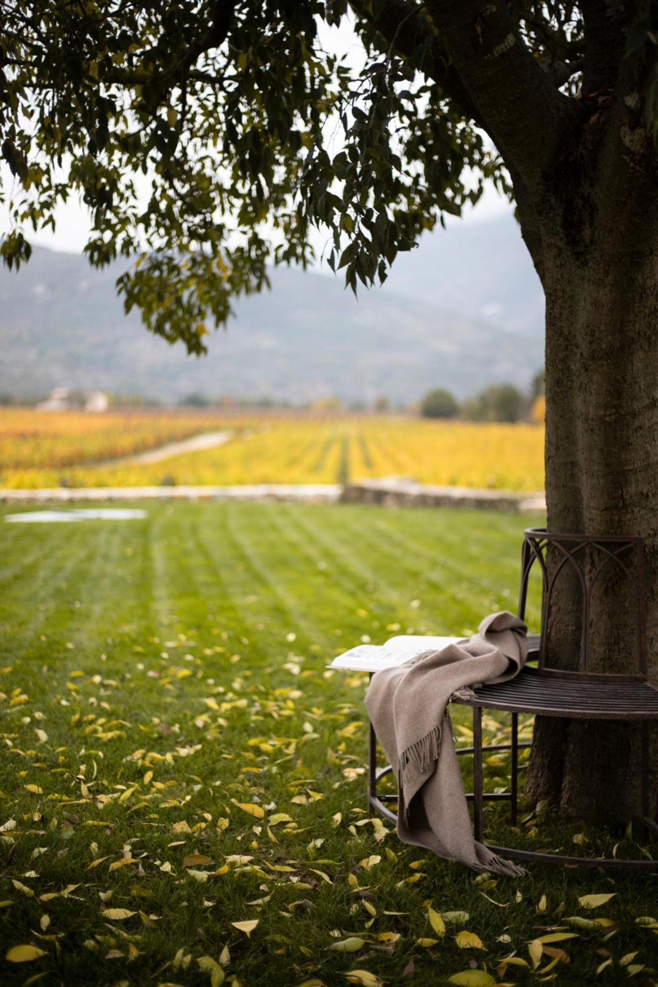 San Calisto Camere Con Vigna โปโปลิ ภายนอก รูปภาพ