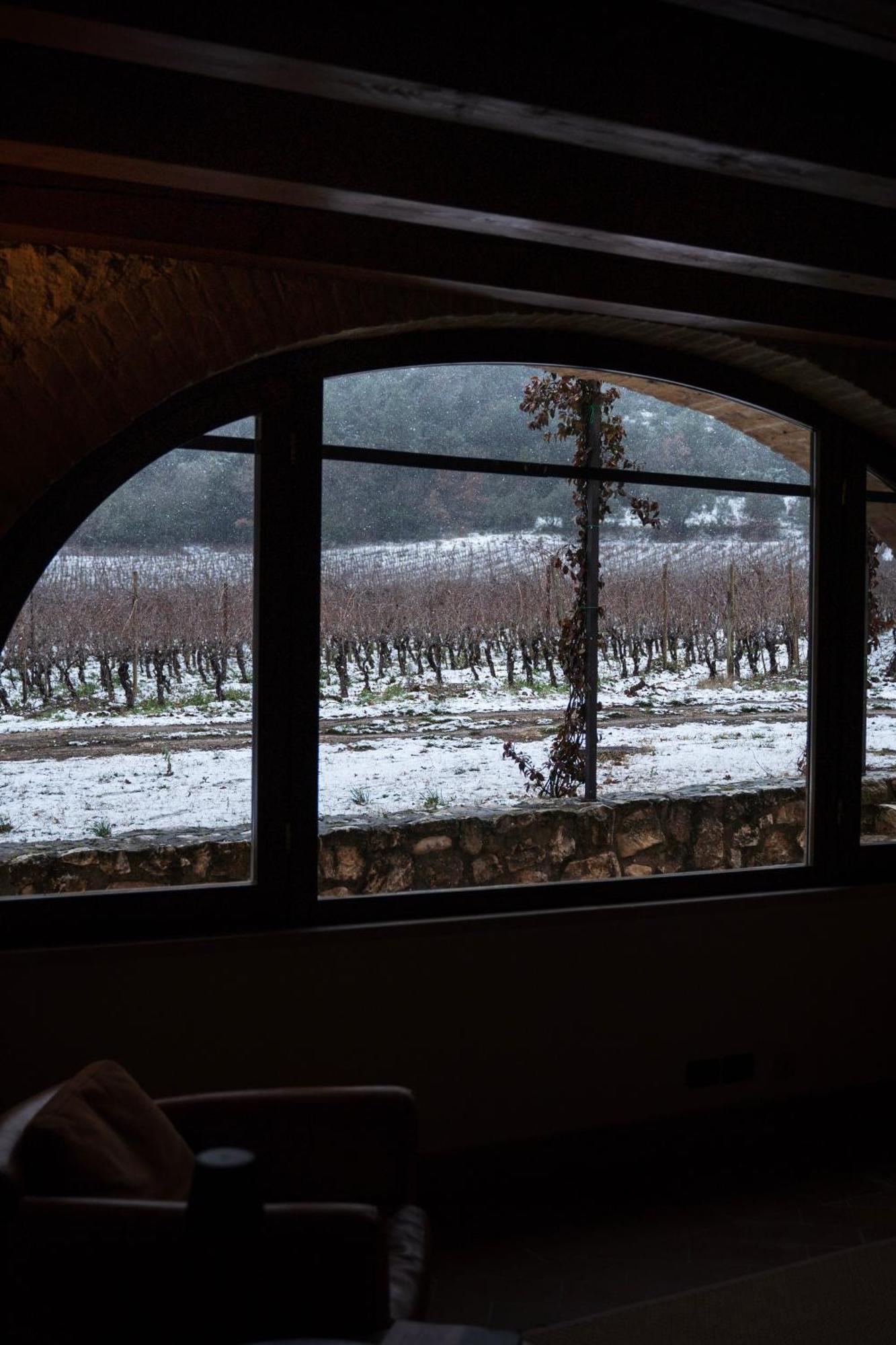 San Calisto Camere Con Vigna โปโปลิ ภายนอก รูปภาพ